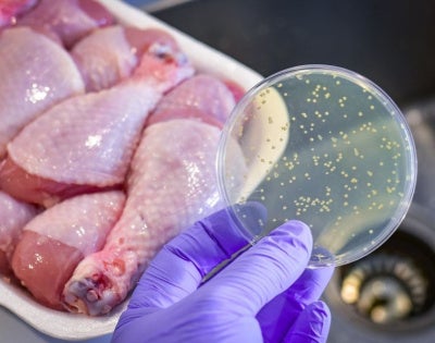 salmonella-outbreak