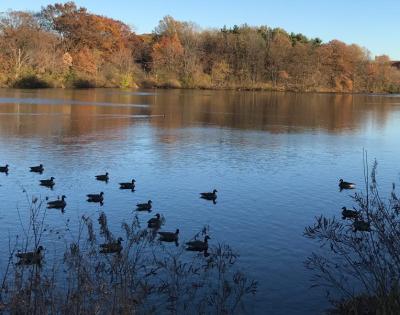 shaker-lakes-feat