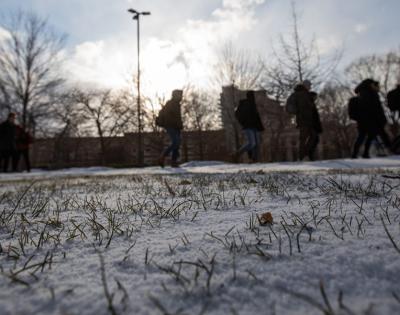 snowy-ground-feat