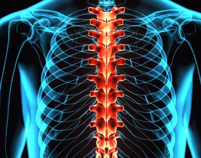 spinal-cord-feat
