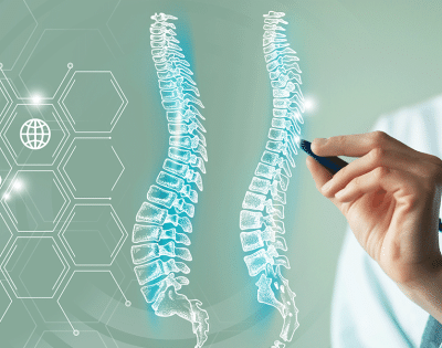 spine