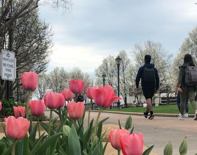 spring-campus-flowers-feat