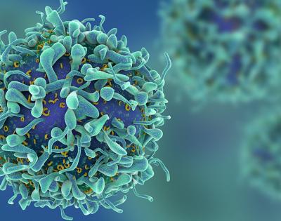 t-cell-feat