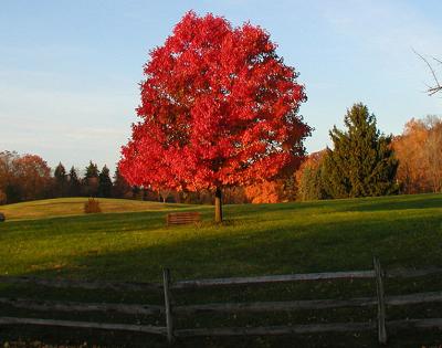 university-farm-fall