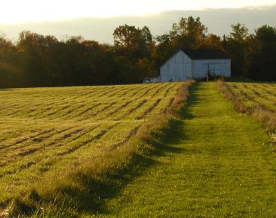 university-farm
