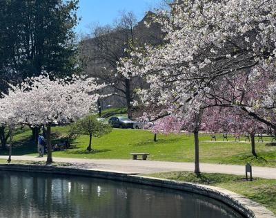 wade-lagoon-spring