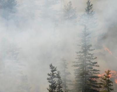 wildfire