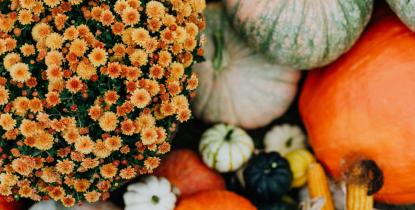 Close up of pumpkins and other fall harvest items 
