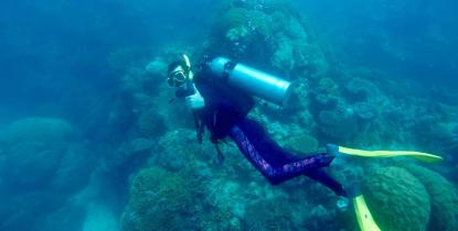Carson Williams scuba dives at Lady Elliot Island. 