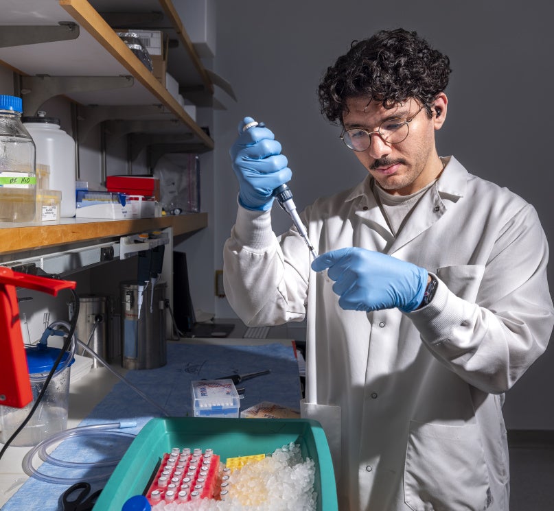 A student in a white lab coat and blue gloves uses a pipette to transfer liquid into a small tube while working in a laboratory.