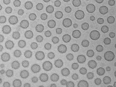 Synthetic platelets (SynthoPlate) 