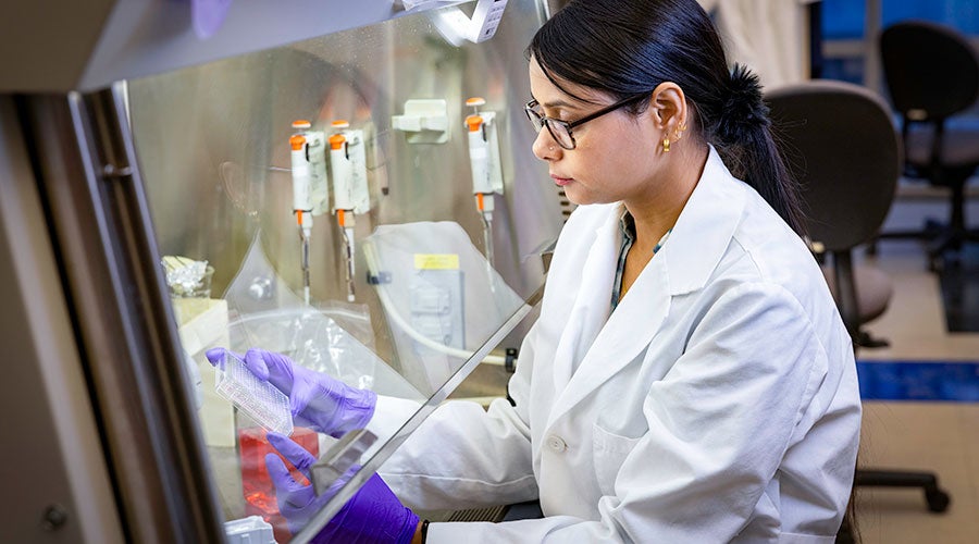 A scientist in a white lab coat and purple gloves works intently under a fume hood, handling lab equipment, in a research laboratory setting.