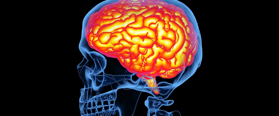 A vibrant illustration of a human brain glowing in warm colors, with a semi-transparent blue skull overlay, highlighting brain activity and connectivity.
