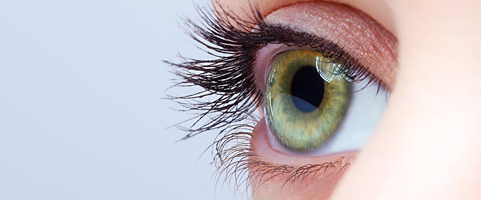 Close-up of a green eye with long, thick eyelashes and glittery eyeshadow. The detailed iris and textured makeup create an intense, dramatic look.