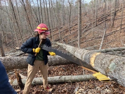 Meg Corley sawing logs with U.S. Forest Service in the woods