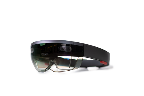Holoanatomy