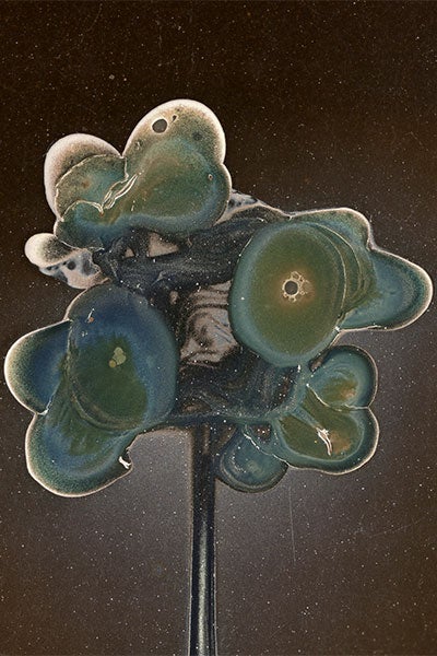 Photo of pooling ink in blue and green hues against a black background