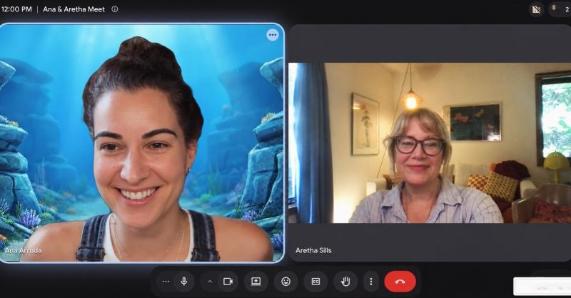 Arruda on a podcast