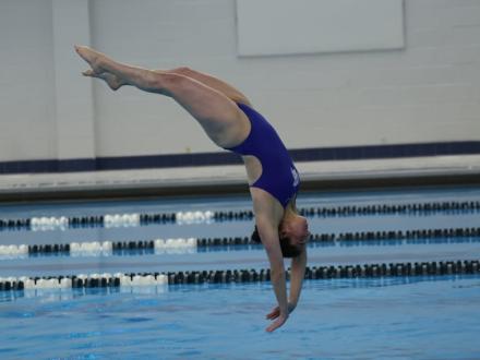 abby-wilkov