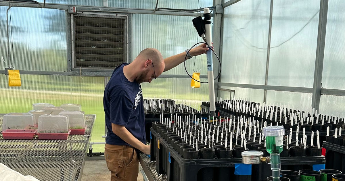 From rainout shelters to the courtroom: Inside CWRU students' and researchers' environmental work