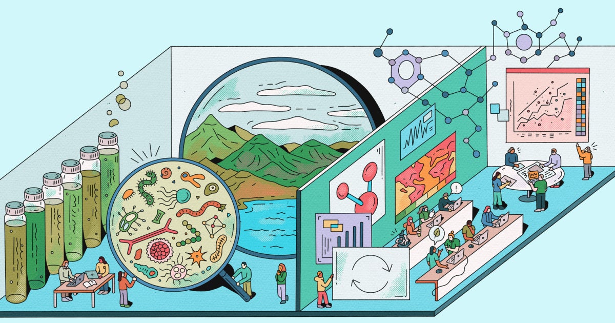 Earth, examined: Inside the ISEB’s Climate & Ecosystem Science research cluster