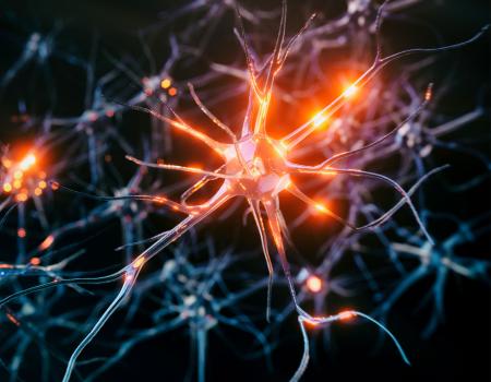 Photo illustration of neurons in the brain with glowing synapses