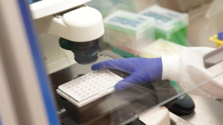 gloved hand holds sample under microscope