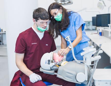 Photo of a dental faculty member demonstrating on a simulation mouth to show a dental student a technique 