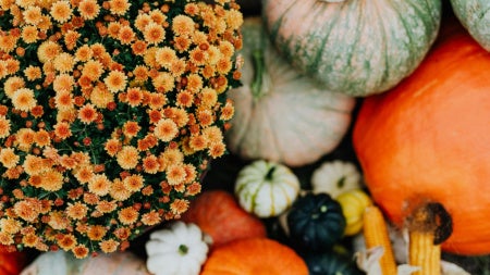 Close up of pumpkins and other fall harvest items 
