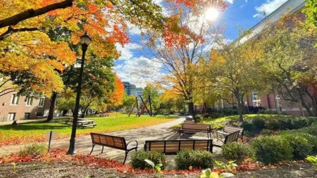 Photo taken outside of Thwing Center of benches on a sunny fall day