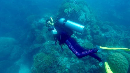 Carson Williams scuba dives at Lady Elliot Island. 