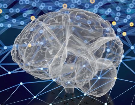 Photo illustration of a brain model