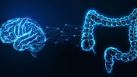 Photo illustration of a brain and intestines with interconnected nature of the gut and brain