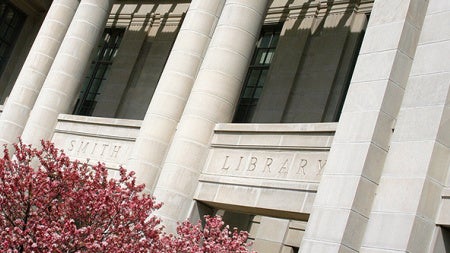 Kelvin Smith Library building in the springtime with a flowering tree
