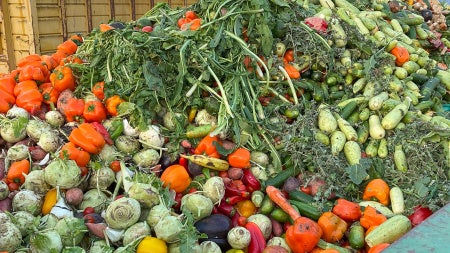 Photo of spoiled produce filling a dumpster