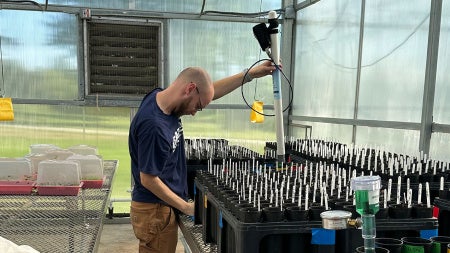 Photo of Sam Harbol working with equipment in a greenhouse lab