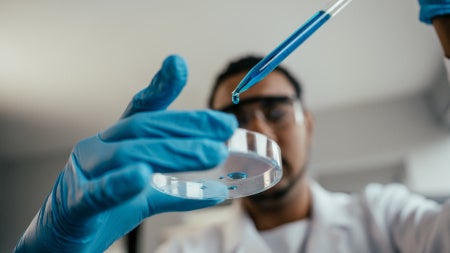 Young scientist doing analysis in the laboratory
