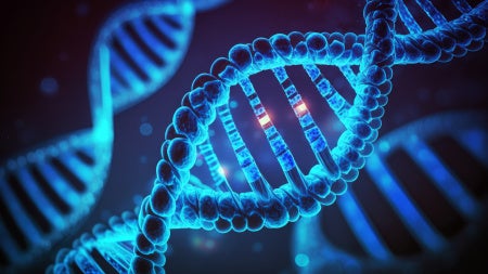DNA strand