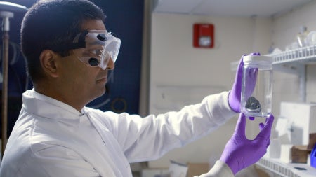 Professor Rohan Akolkar looking at a jar