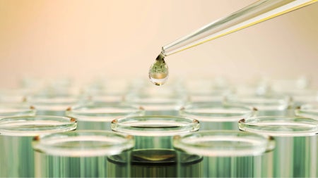 A pipet drips liquid into an array of test tubes.