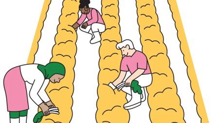 Illustration of three farmworkers bending to harvest crops in golden fields at night, with a farmhouse and trees in the background; calm, hardworking mood.