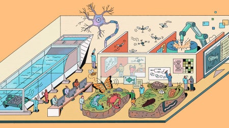 Illustration of a neurorobotics lab in the Interdisciplinary Science and Engineering Building, with a large water tank, robotic arms, small flying winged robots, and researchers working at computers. A giant neuron stretches across the back wall and in the center, two raised blocks of soil show a butterfly, crab, sea slug, turtle, snail, beetle, and worm. 