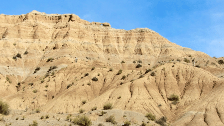 2024.10-Croft-QHB-landscape