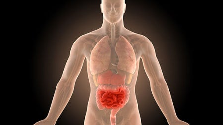 3d-illustration-human-body-crohns-intestines-infection-news