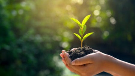 GettyImages-1181366400-e1604681214772