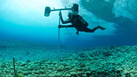 GettyImages-856897182