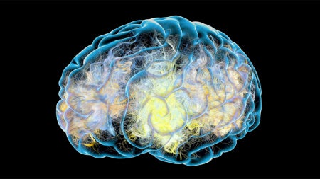 Screen-Shot-2018-06-11-at-11.17.37-AM