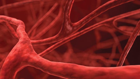 cardiovascular-system-feat