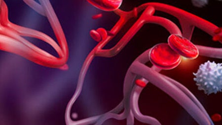 blood-cells.jpeg