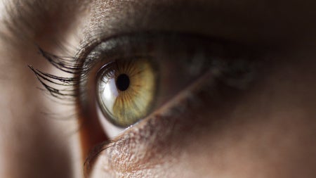 eye.jpeg
